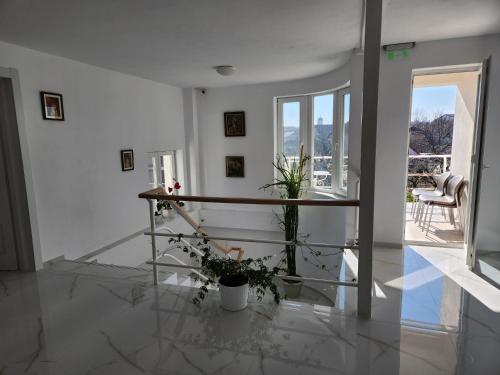 a living room with a table and some plants at Vila Reghina in Alba Iulia
