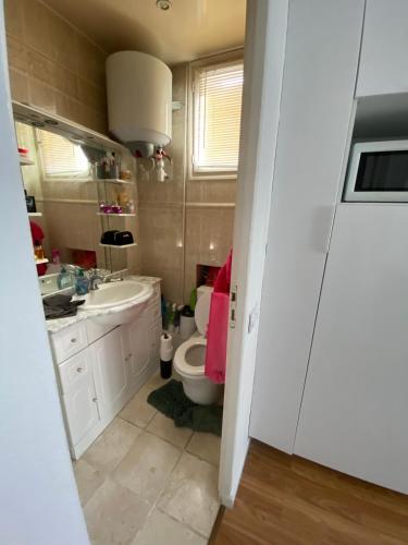 une salle de bain avec toilettes, lavabo et miroir dans l'établissement Cosy flat near Parc des Princes, à Boulogne-Billancourt