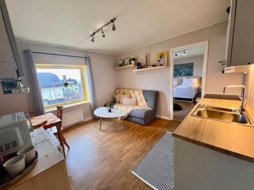 Cozy one-bedroom with a view في مولدي: مطبخ وغرفة معيشة مع أريكة وطاولة