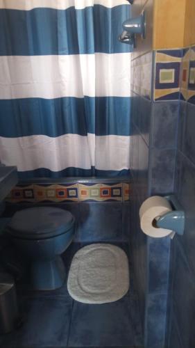 リマにあるApartamento amplio, tranquilo y centricoのバスルーム(青いトイレ、ストライプ張りのシャワーカーテン付)