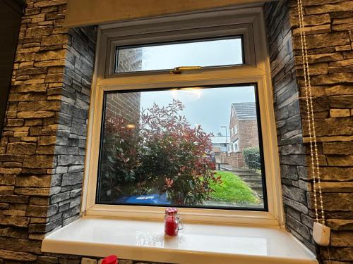 a window in a brick wall with a vase on a window sill at Marton Apartments in Marton