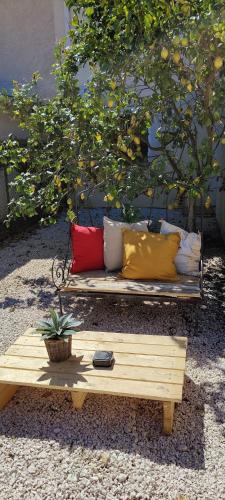 Les citronniers et les mimosas