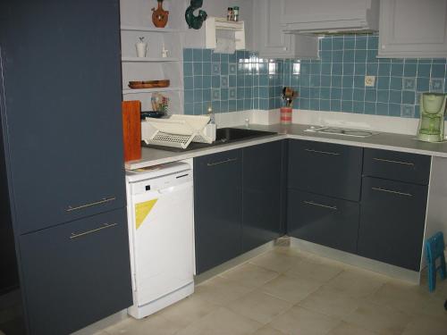 a kitchen with blue cabinets and a white dishwasher at Saint-Raphaël Villa mitoyenne 10 min de la plage in Saint-Raphaël