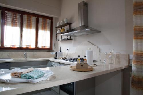 uma cozinha com um lavatório e uma bancada em Villa Raffaella em Selvatelle