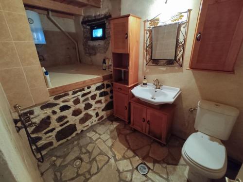 een badkamer met een toilet en een wastafel bij Picturesque double flat country house in Thrapsímion