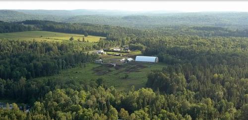 an aerial view of a farm in the middle of a forest at Meadowlark Cabin #5 in Maynooth