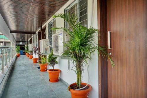 uma fila de vasos de plantas ao lado de um edifício em OYO Collection O Hotel Rk Inn em Pune