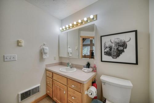 a bathroom with a toilet and a sink and a mirror at Bills Island Hideaway in Island Park