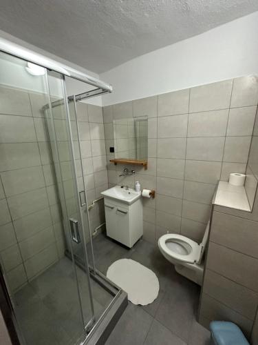 a bathroom with a shower and a toilet and a sink at Penzión Normandia in Nitrianske Rudno