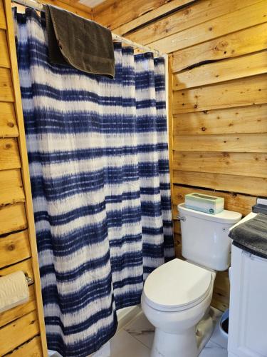 a bathroom with a toilet and a shower curtain at Red Salmon Retreat, Cabin 8 at Lower Kenai Lodge in Kenai
