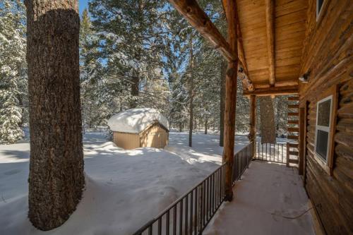 Το Bootjack Bungalow τον χειμώνα