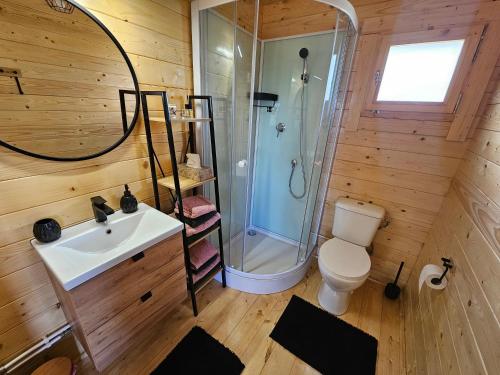 a bathroom with a shower and a sink and a toilet at Domki Letniskowe przy Strażnicy in Radków