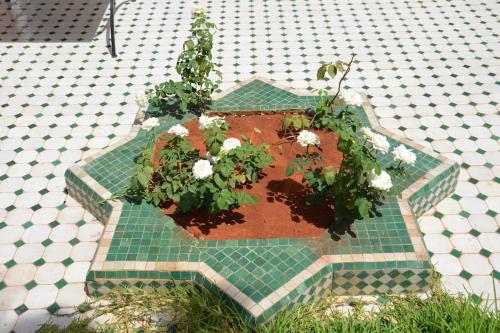 a planter with white flowers on a tiled floor at Villa Palmengarten Meknès bei Fes in Meknès