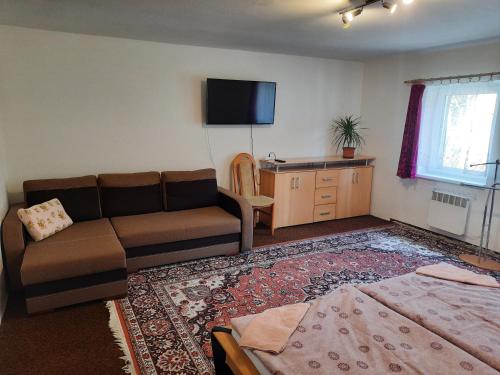 a living room with a couch and a flat screen tv at Pension Lípa in Horní Maršov