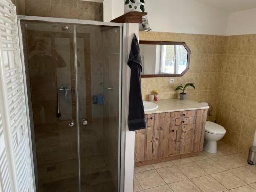Koupelna v ubytování Apartmán pod Kňeží Horou