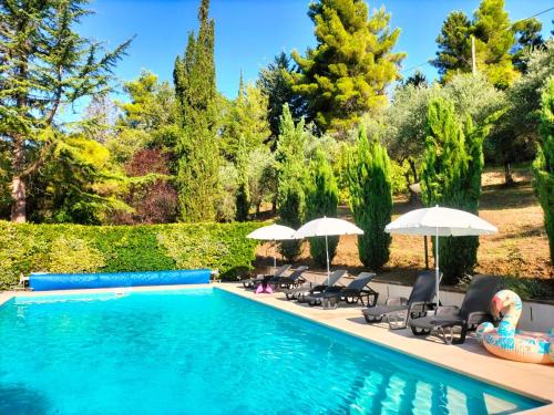 una piscina con sedie a sdraio e ombrelloni accanto a una siepe di Villa La Passione Charme House a Venarotta