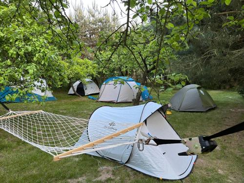 a net umbrella laying on the grass with tents at Siedlisko Bolek in Nadrybie