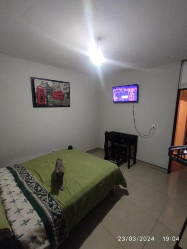 un chien assis sur un lit dans une chambre dans l'établissement Cómoda y agradable habitación con baño privado, à Uruapan del Progreso