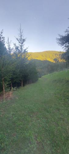 un campo verde con árboles y una colina al fondo en Firefly en Bijelo Polje