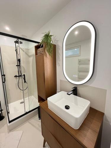 une salle de bain avec un lavabo, une douche et un miroir dans l'établissement Maison vue sur la nature proche golf & Carnac, à Ploemel