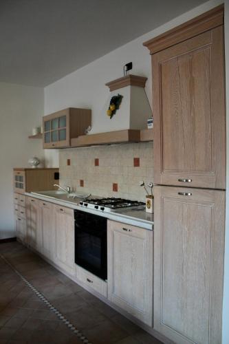 una cucina con fornelli e piano di lavoro di Monte Isola - Decio Apartments a Monte Isola