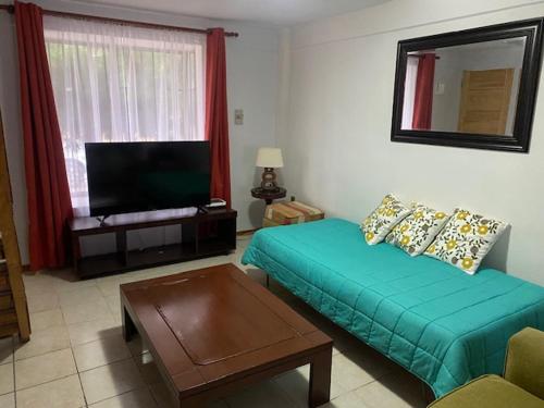 Fotografie z fotogalerie ubytování CASA AMOBLADA EN TALCA PARA 6 PERSONAS v destinaci Talca