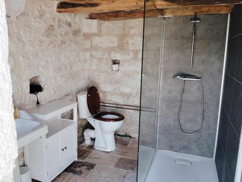 een badkamer met een toilet en een glazen douche bij Ferme de Lacassagne in Vazerac