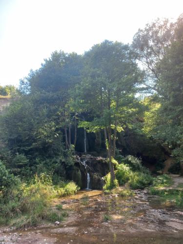 Naturlandschaft in der Nähe des Bed & Breakfasts