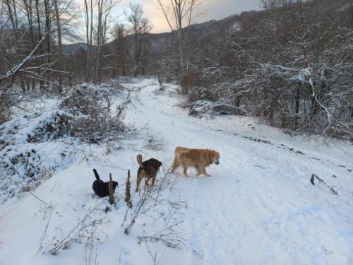 B&B Vila Babin zub im Winter