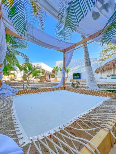 a hammock on the beach with a view of the ocean at Hotel Palma Grande by Stanza in Coveñas
