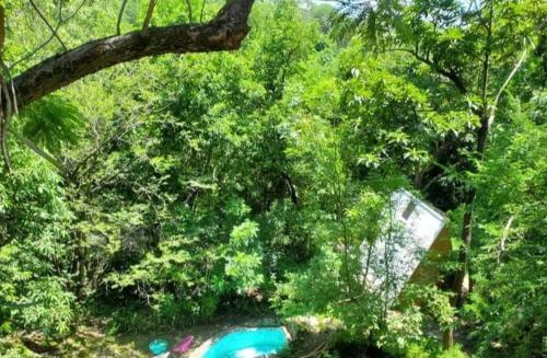 an overhead view of a swimming pool in a forest at Glamping Cabaña de Granja El Sol Teques y Naturaleza in Xoxocotla