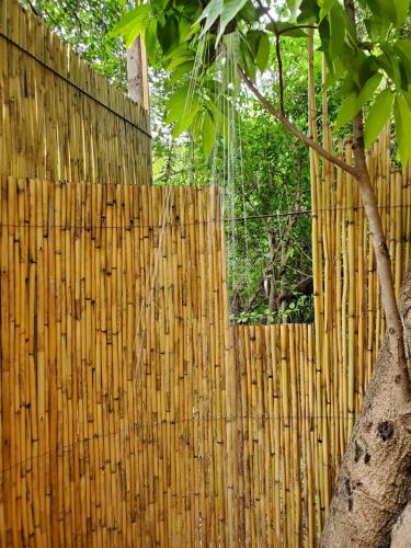 a wooden fence with a tree in front of it at Glamping Cabaña de Granja El Sol Teques y Naturaleza in Xoxocotla