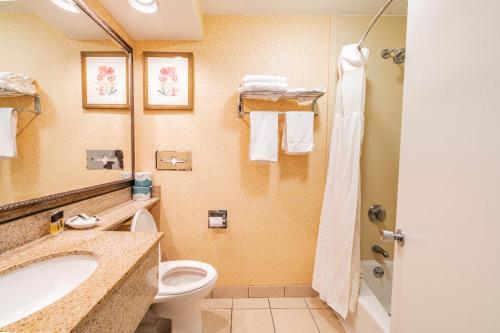 a bathroom with a toilet and a sink and a shower at Hotel Boston in Boston