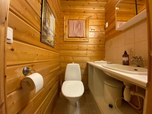 ein Badezimmer mit Toilette und Waschbecken in der Unterkunft Alppiruusu B in Syöte