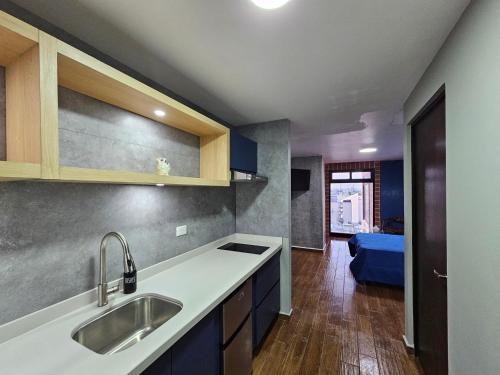 eine Küche mit einer Spüle und einer Arbeitsplatte in der Unterkunft Loft Barrio Vergel in Monterrey