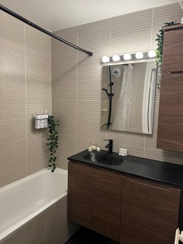 une salle de bain avec un lavabo et une baignoire dans l'établissement Logement accès JO avec Jardin et Jacuzzi, à Bussy-Saint-Georges