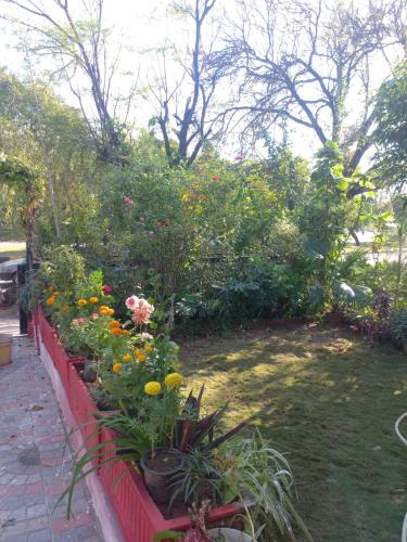 Градина пред Sherwani property