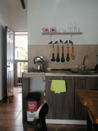 a kitchen with a sink and a counter with utensils at Apartaestudios La Baranda in Salento
