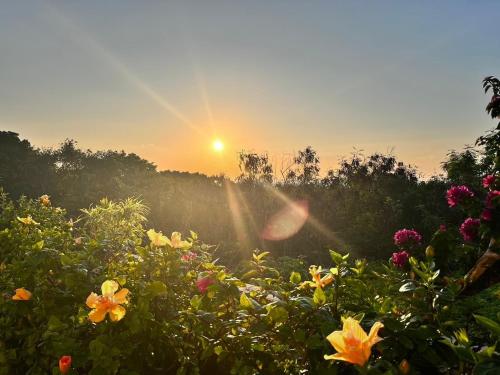 Gallery image of Condominium Hotel Okinawa Yumeto - Vacation STAY 02313v in Nanjo