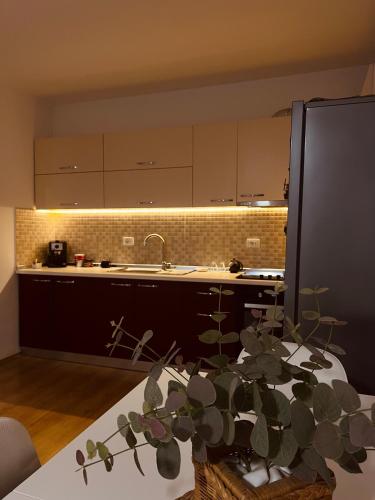 uma cozinha com um lavatório e uma mesa com uma planta em Tirana Guest Apartment em Tirana