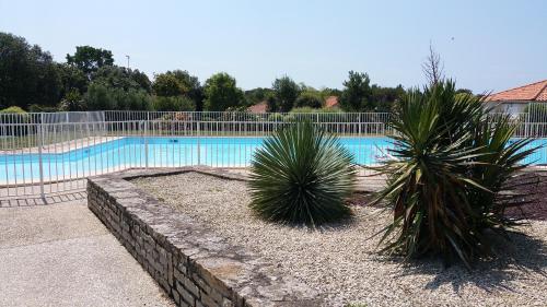 - une piscine bordée de 2 palmiers dans l'établissement maison de vacances proche océan, à Saint-Michel-Chef-Chef