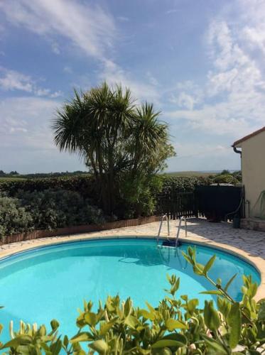 une grande piscine bleue avec des palmiers en arrière-plan dans l'établissement Grande Vue A little bit of French tranquillity, à Floirac