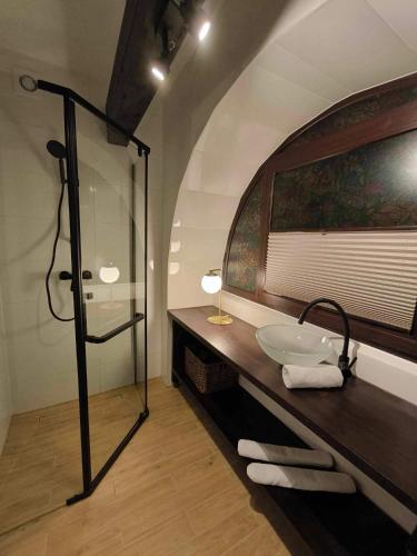 a bathroom with a sink and a glass shower at Loft pod Starym Kasztanem in Krynica Zdrój