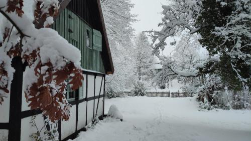 a house covered in snow in a yard at Małanka - kaszubska chëcz in Strzepcz