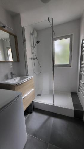 une salle de bain avec douche et lavabo dans l'établissement Appartement de 50 m2 cosy et moderne à 100 m de la plage, à Saint-Mandrier-sur-Mer