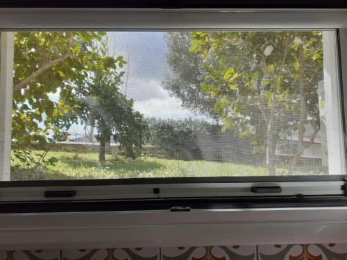 une fenêtre avec vue sur un arbre dans l'établissement Olive Garden Studio, à Mandrotopos