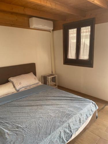 1 dormitorio con cama y ventana en Villa sul mare, en Lido dei Pini