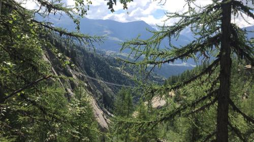 a view of the mountains through the trees at 3.5-Zimmer FeWo Primeli Fieschertal in Fieschertal