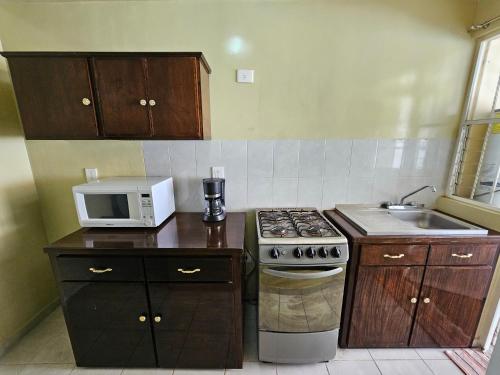 a small kitchen with a stove and a microwave at Sensity Home Casa Novedosa Céntrica y Linda in Tehuacán
