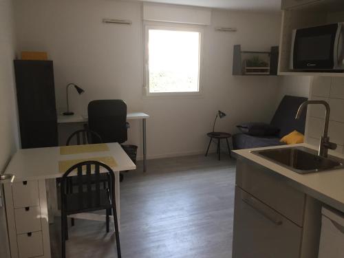 une cuisine et un salon avec un évier et une table dans l'établissement Avignon Centre ville (+parking), à Avignon